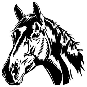 Galloping Soul AL07