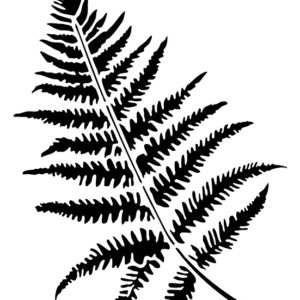 Fresh Leaf TER17