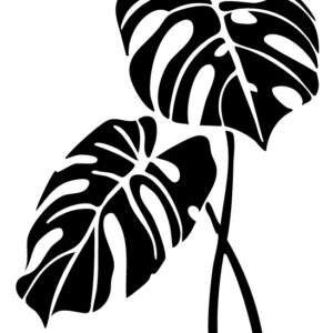 Wild Bloom TER22